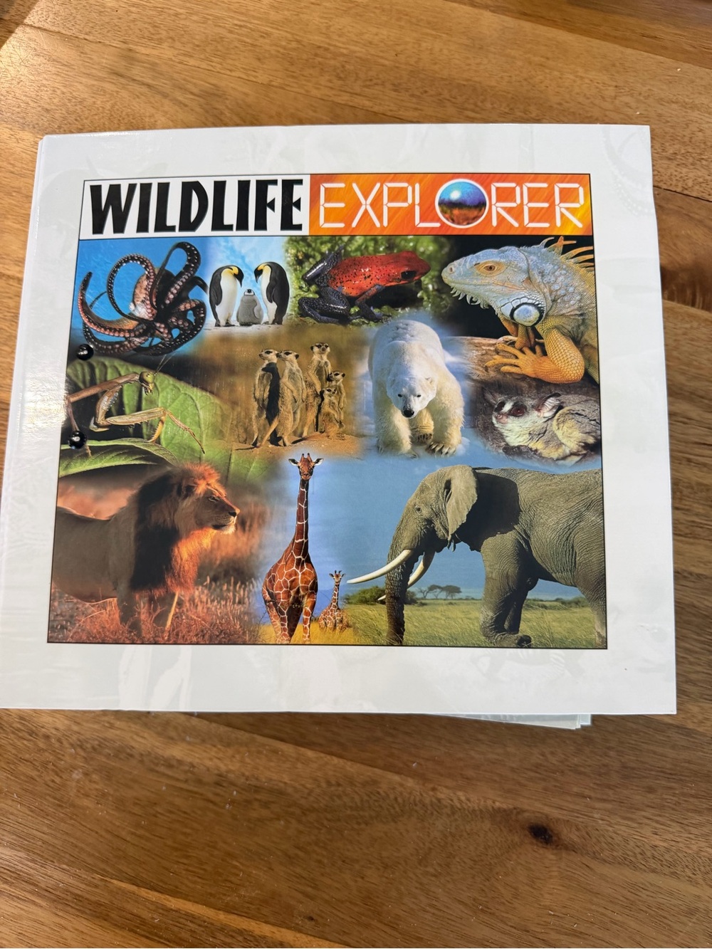 2- Wildlife explorer books/binders